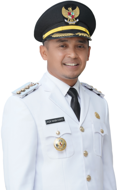 Adi Wibowo