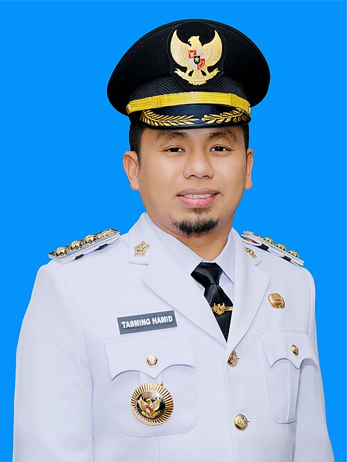 Tasming Hamid