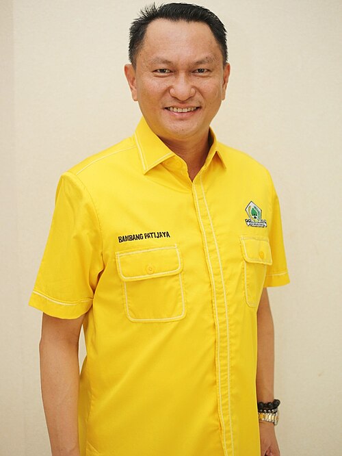 Bambang Patijaya