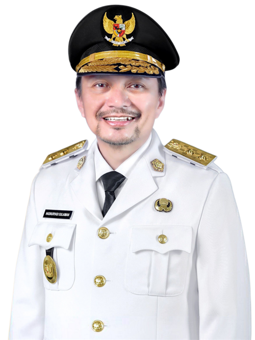 Hasnuryadi Sulaiman
